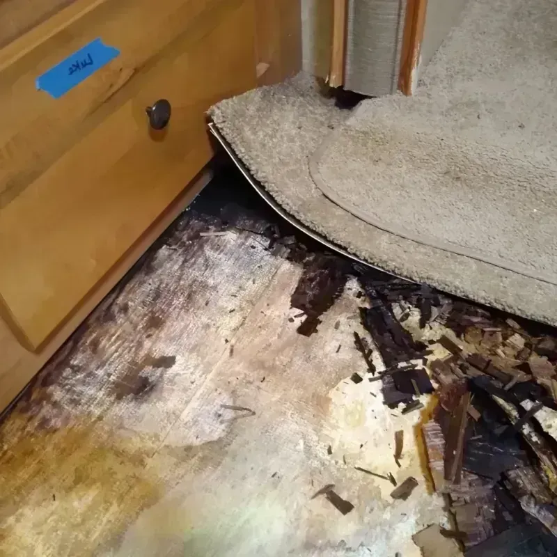 Wood Floor Water Damage in Hughes Springs, TX